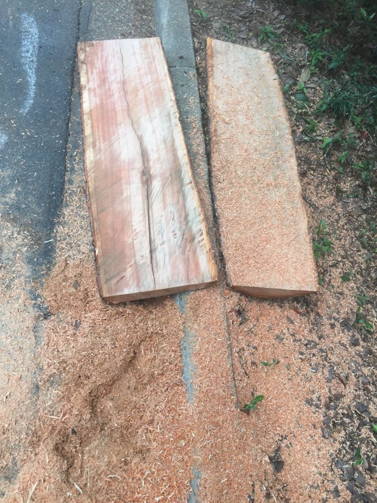 Cherry logs in sawdust.